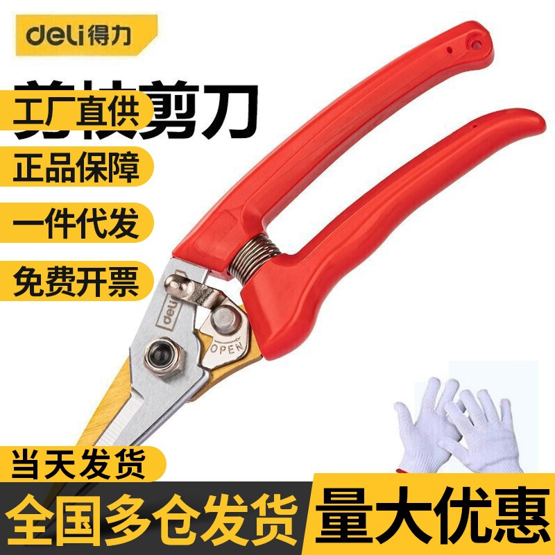 得力园艺剪枝剪刀果树树枝园林花艺剪刀修枝剪采摘水果剪批发