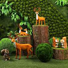 ɭϵ��c����ͯԒϵ÷��¹ľ���Ô[��ӭ�e��̨�̈�ɭ���쾰�[�O