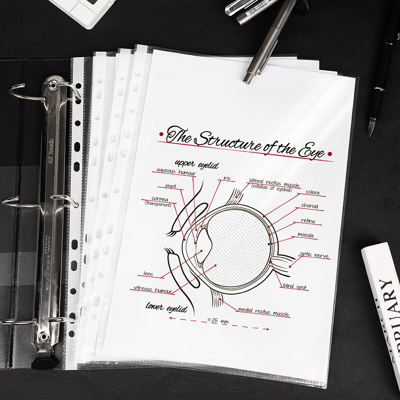 Bolsas transparentes para documentos Deli, bolsas para archivos, bolsas para páginas interiores, bolsas para mensajería, bolsas con 11 orificios para encuadernación, bolsas de protección para documentos.