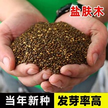 }wľNo¹ľNԴN屶ӷNӻľľľN