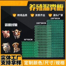 漏粪板猪舍建造 养猪场设备厂家 母猪仔猪产床塑料漏粪板