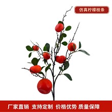 ����֦�ٽ��Ӽ�ˮ��֦�l��֦�b[����֦ˮ��������߷���