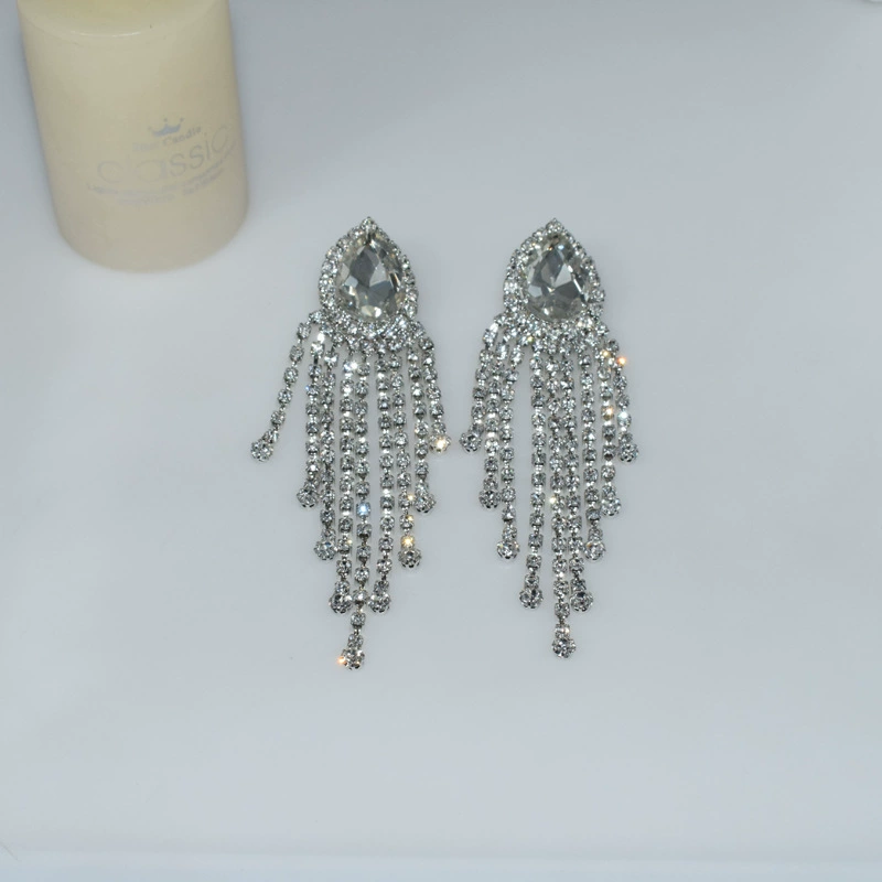 Earrings, silver needle, accessory, European style, internet celebrity