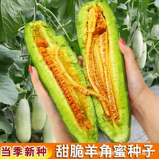 �������۷N�Ӹ߮a��ౡƤ������������ļ�ˮ���N�Ӵ�ȫ