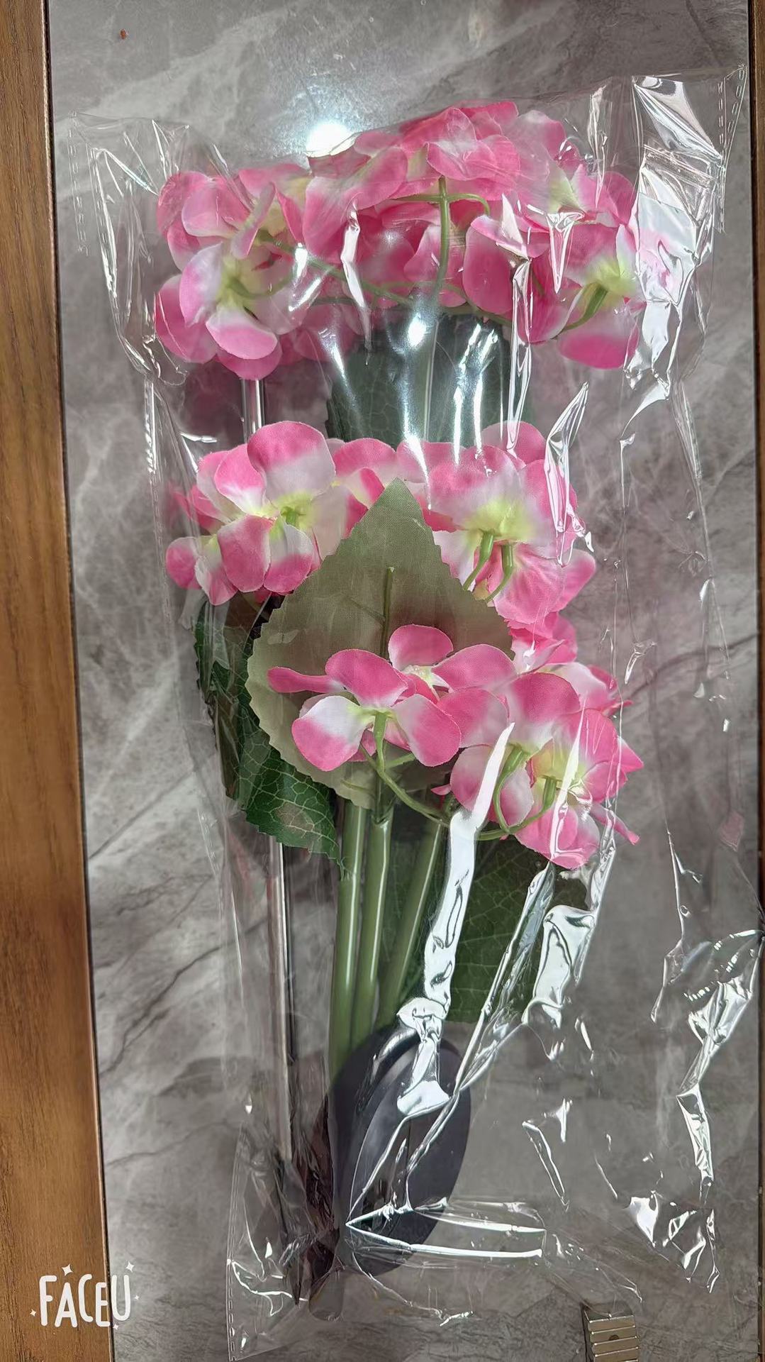 Lámpara solar transfronteriza