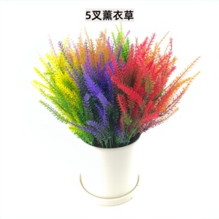 �羳�ٻ�5��޹�²ݷ���޹�²��������ϻ��Ҿ���@�b���ֲ��