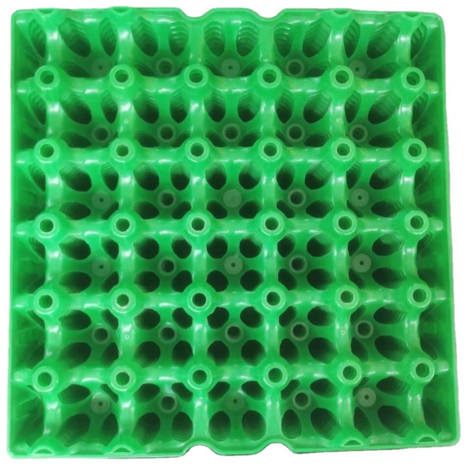 Bandeja plástica para huevos de 30 cavidades, ideal para incubación o almacenamiento, colores surtidos