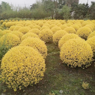 ���Ůؑ�� ��Ϟ�� Ů�E �Eľ ��܊�� Ϟ�� �ɶ��G����ľ ��ľ��