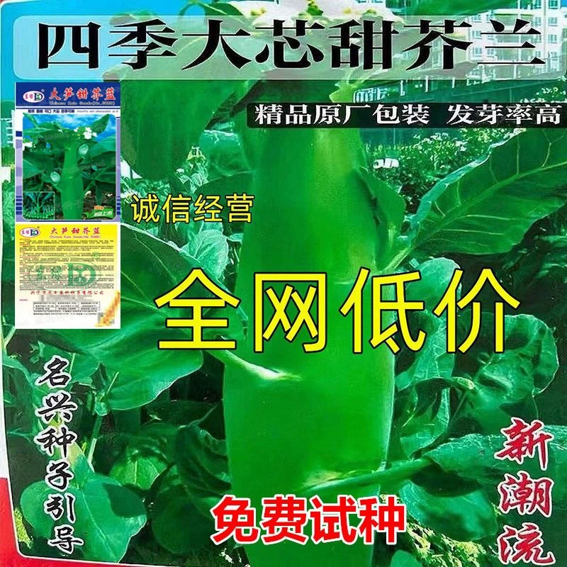 Семена капусты Термостойкие куриные ножки Kale в течение года сезона Гуандун толстая белая Цветочная капуста