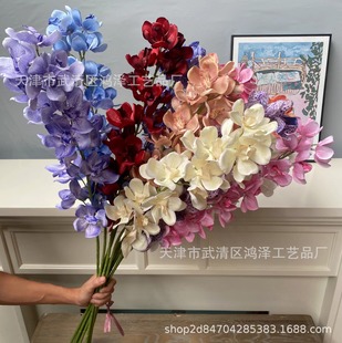 �¿���滨�����m�z����ӡ�����m��c��Y�õ������·���bٻ�