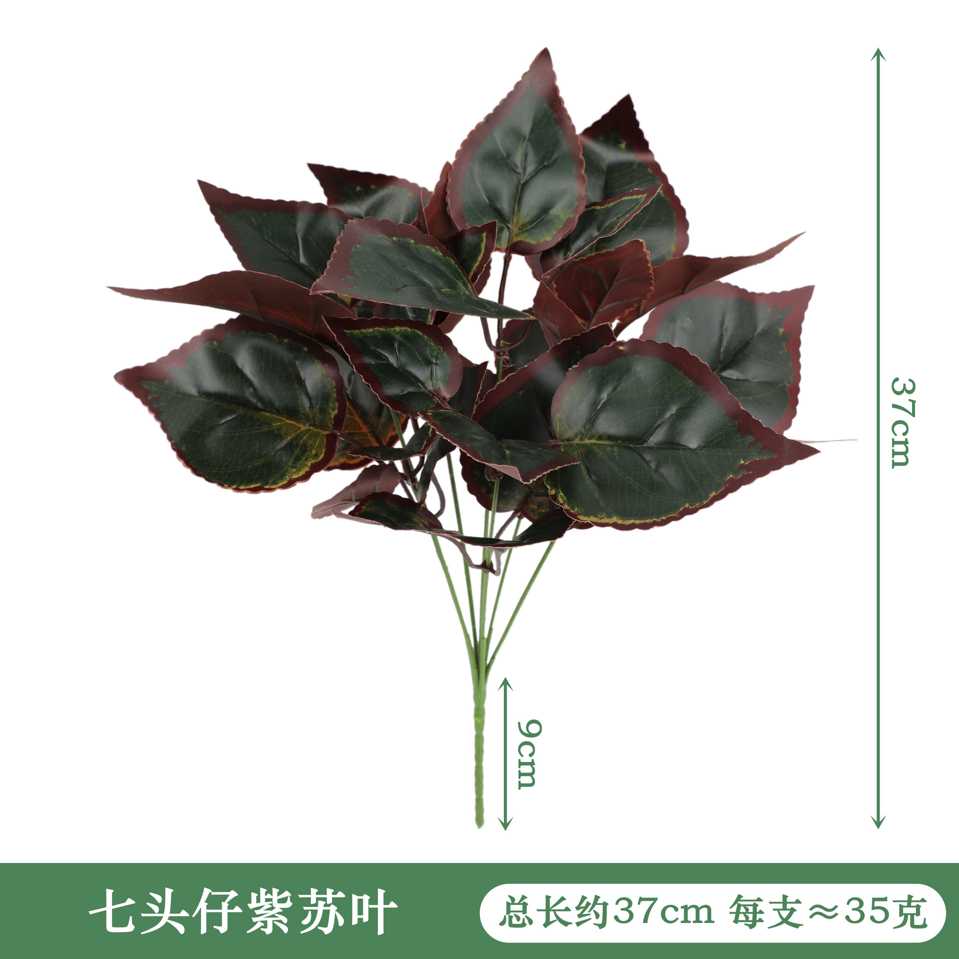YAL12-170-7 # 일곱 머리 Zizi 잎