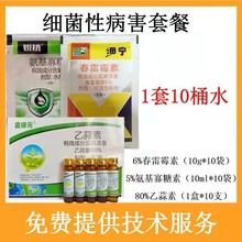 1套价格细菌性病害套餐春雷霉素10袋+氨基寡糖素10袋+乙蒜素10支