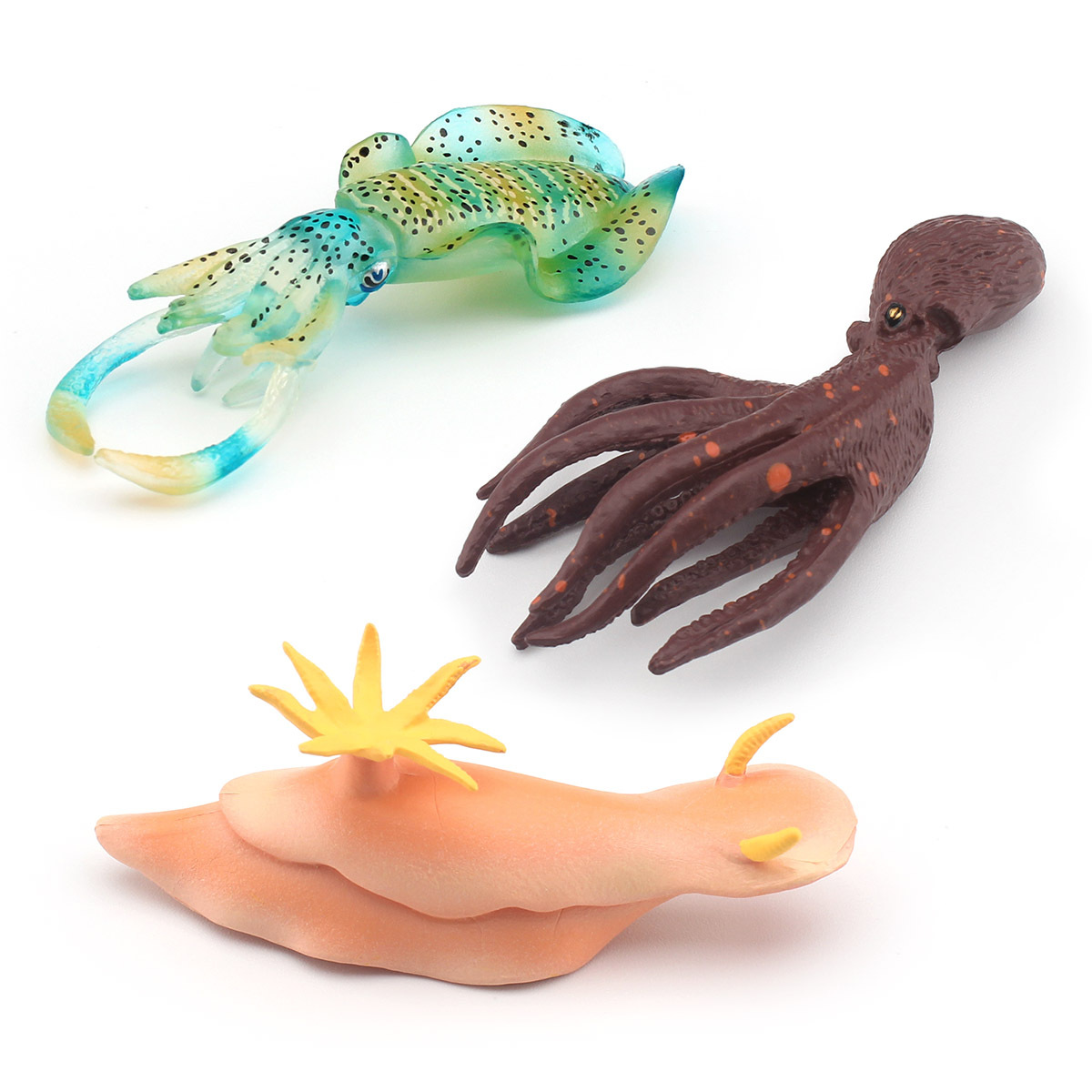 跨境仿真海洋生物模型海兔海蛞蝓烏賊墨斗魚魷魚柔魚創意裝飾擺件
