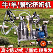 牛羊挤奶机奶牛全自动挤牛奶机真空泵牛羊用挤奶器配件脉动挤厂家