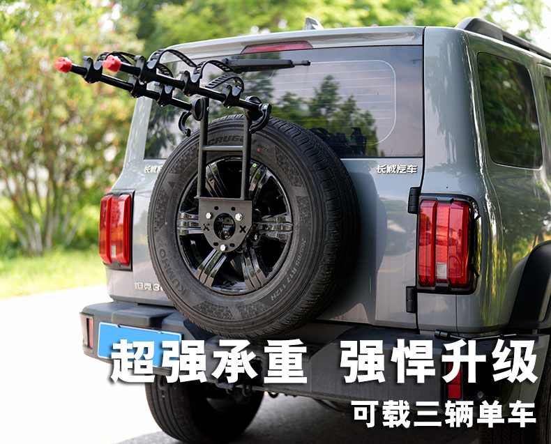 Tank 300 Bicycle Rack Rear Rack Wrangler Haval Raptor Dark Blue 318 Car Spare Tire Fixed Placement