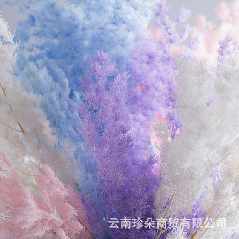 Yongsheng Penglai сохранённые цветы, материал оптом, кедр, юньнань, лёгкая роскошь, материалы для гостиной, материалы для свадебной композиции