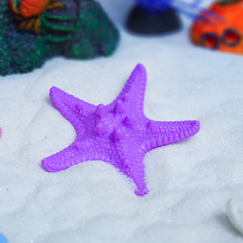 Estrella de mar de gran venta, pecera de coral real, paisajismo, observación, peces, compañeros de pescado y camarones, paquete pequeño en stock