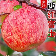 山西红富士苹果应当季冰糖心栖霞脆甜丑嘎啦平果新鲜水果整箱