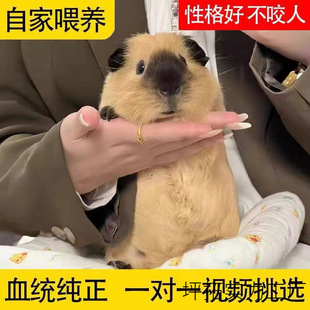 ������m�i������m��������m�ò�����������û������������Ѵ�