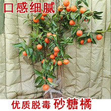 �o��ɰ���٘���ͥԺ���Ը��������Խ��Ә��ϱ����Nֲ����Y������