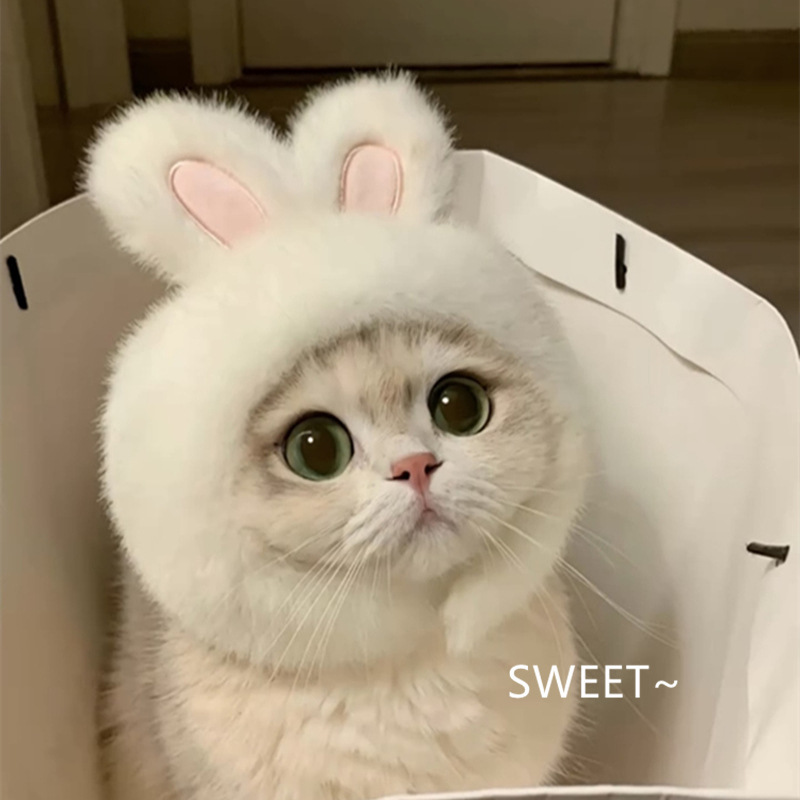 猫咪可爱兔子头套耳朵可立帽子网红英短可爱拍照小狗头饰宠物变装|undefined