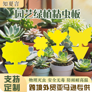 �羳���R�d����ճ�x��ճ�x�p�滨�ͮ���ճ�x����x�廨�����x����