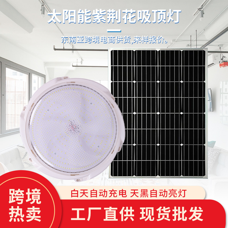 Solar Light Ceiling Light Living Room Light Indoor Aisle Light Balcony Corridor Bedroom Solar Sensor Light Bauhinia