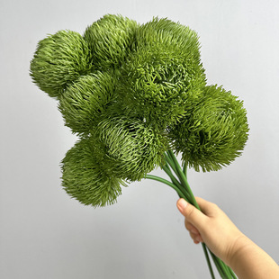 ��ʽ�F���ҾӲ廨�ٻ��Gʯ�� �Ӱ巿���ܛ�z���| �Gë��������Q