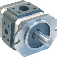  MARZOCCHIX݆ K1P,D 42 G