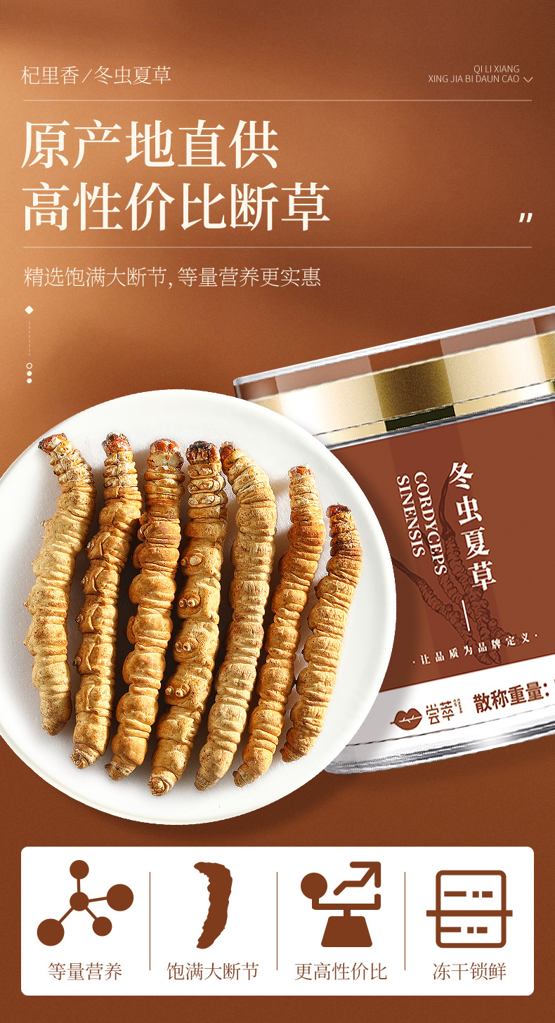 Dried Cordyceps Sinensis Broken Stems 5g Jar Tibetan Plateau Whole Dried Cordyceps for Cooking quality and texture