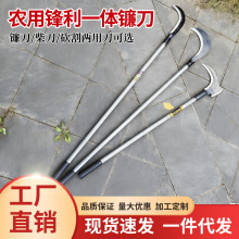 �S�����l砵����L�F���p��砵����׶���Ч�ո��r�ù��߸�ݵ�