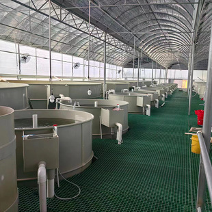 Pp Plastic Fish Pond, Enlarged and Thickeneded Pvc Breeding Pond, Anti-Corrosion and Anti-Oxidation Welded Polypropylene Breeding Tank