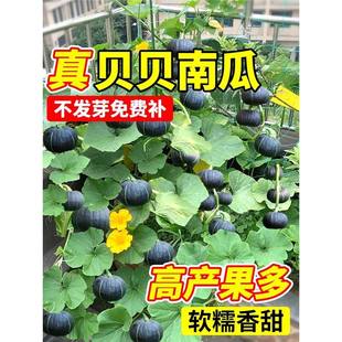 �Gؐؐ�ϹϷN�Ѵ�ȫ�ļ��߲������ڰ���ζ�ݺ�һ̖�߮a�r����N��