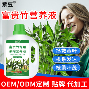 Purple bean rich bamboo special concentrated nutrient solution plant fertilizer green plant rooting vitality element foliar organic fertilizer manufacturers