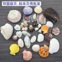 �p����ؐ��Ȼ����ؐ���ղ� �쾰�b��Ĕz���ߵ��к������ղؔ[��