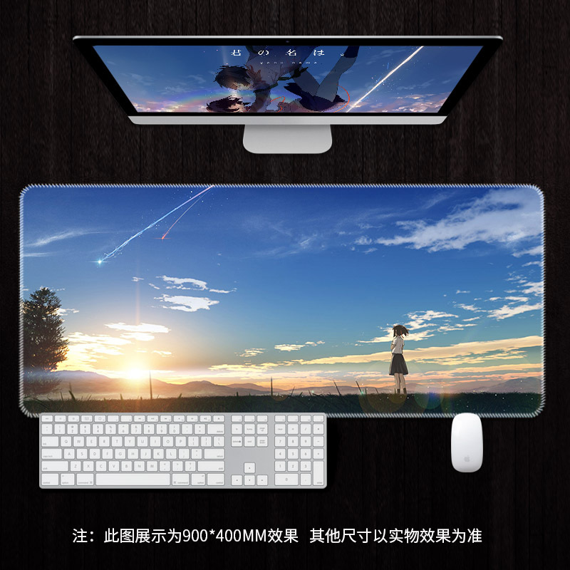 RS4603