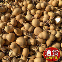 С���Jһ��؛Դ�����^��Ȼ����������ؔ����湩���湤�S