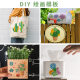 Cross-border fleshy cactus theme series green plants mountain aloe vera cactus column hollow diy painting template