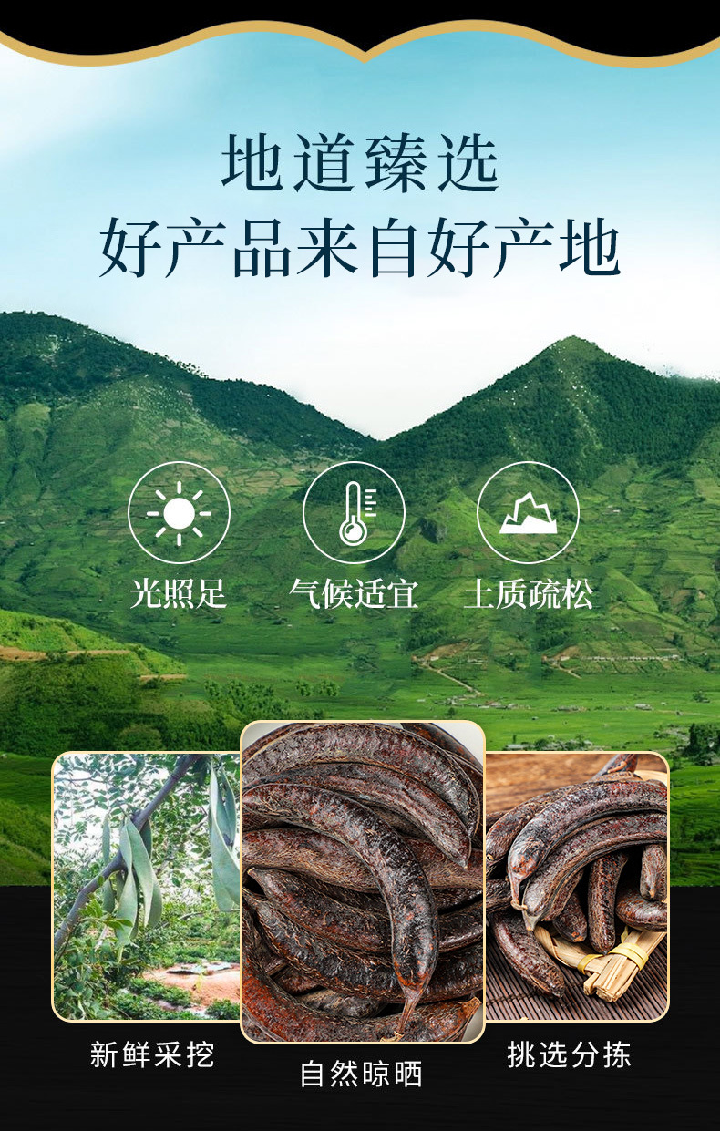 Zhu Ya Zao (Gleditsia sinensis) — Dried Chinese Honeylocust Fruit for Herbal Decoction overview
