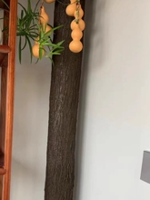 �����Ƥ�٘�Ƥ��������Ƥ�ܵ��b�ˮ�ܰ����Ӱ�늾��U�����b�