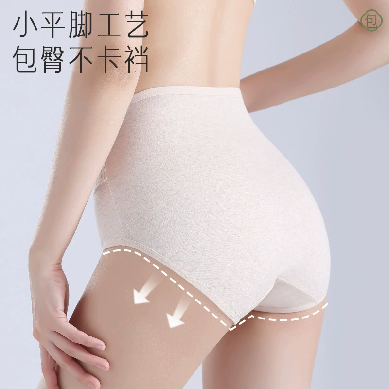 underwear, cotton trousers, long waist belt, pants, high waist, плюс размер