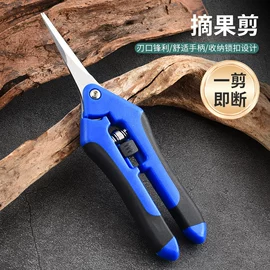 家用剪刀;修枝剪;厨用剪刀