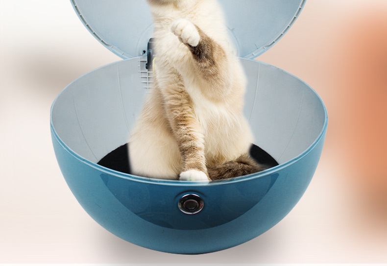 Electric Car Rear Trunk Universal Mavericks Yadi Emma New Sun Table Bell Battery Bicycle Backrest Pet Trunk