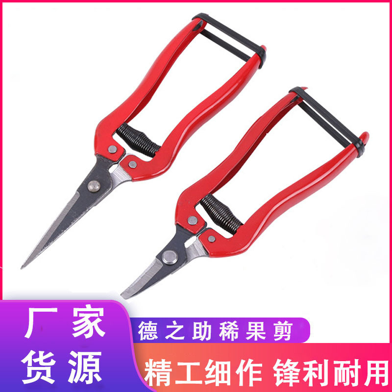 厂家直供稀果修枝剪花园剪园林剪刀园艺剪刀摘果果枝剪刀花艺剪刀