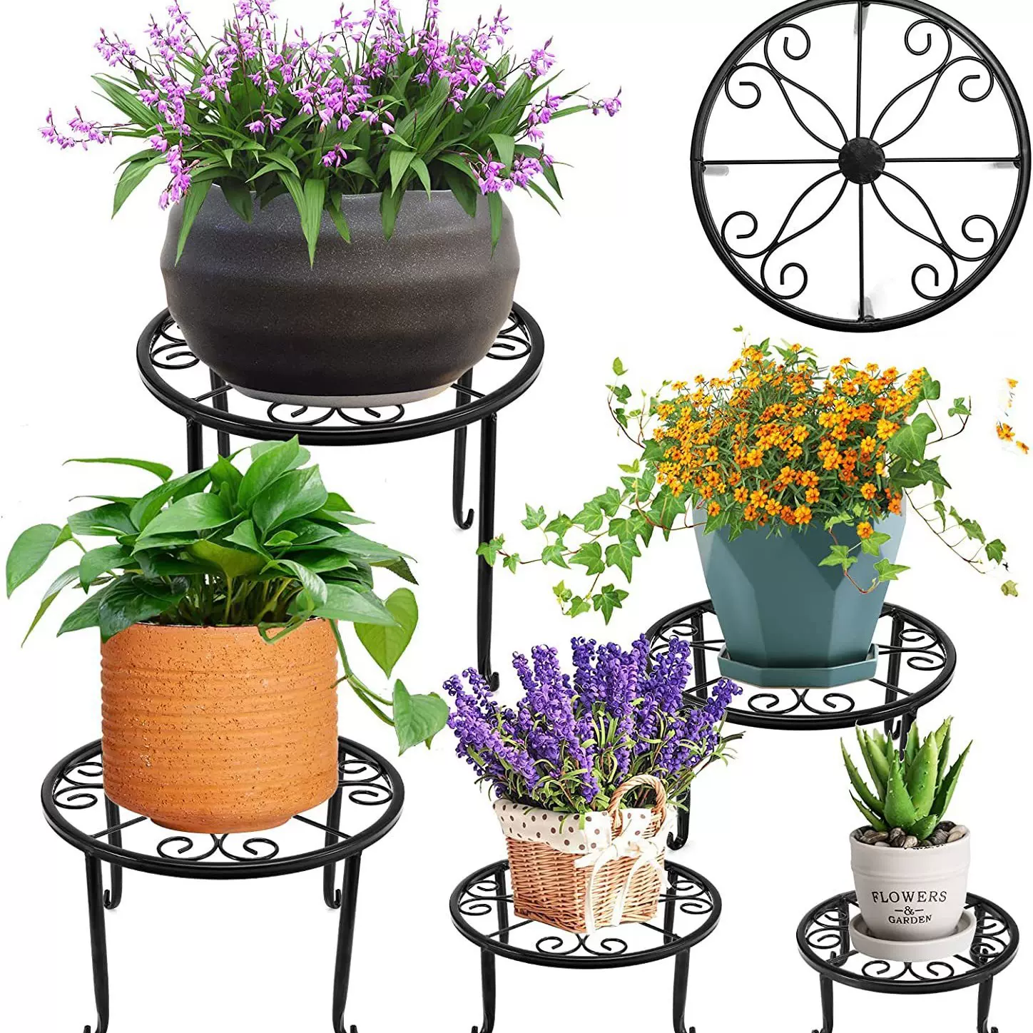 跨境园艺单层铁艺小花架阳台室外绿萝吊兰盆栽铁花架支架五件套