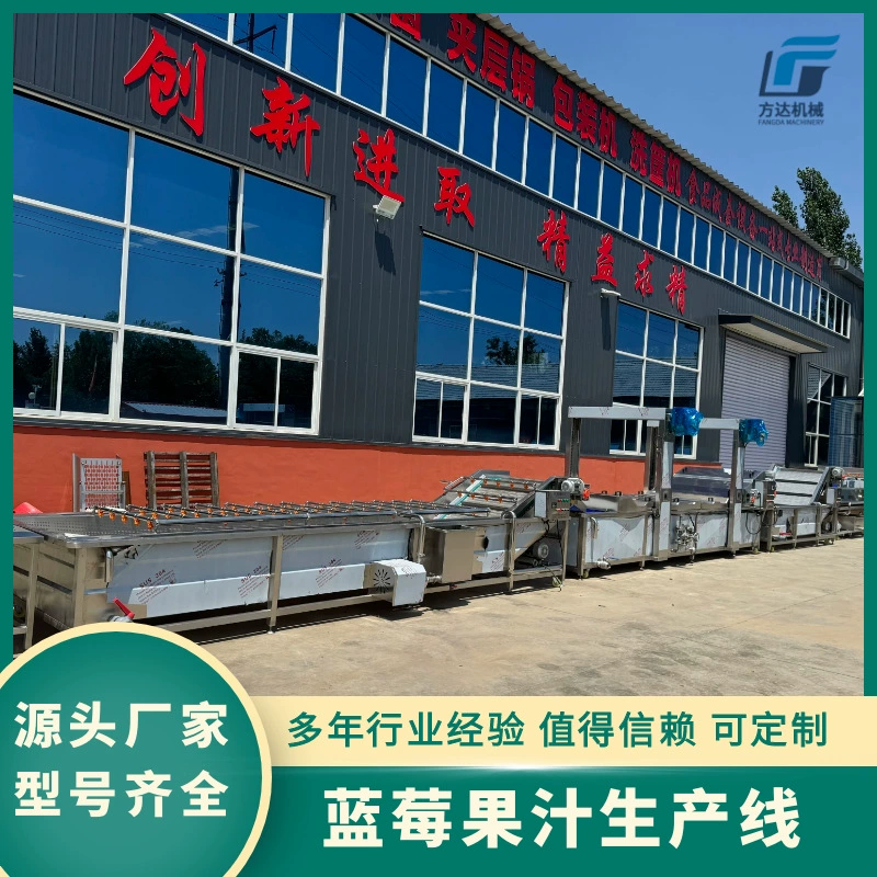 Полностью автоматическая линия производства черничного сока, линия переработки черничного джема, оборудование для переработки клубнично-малинового джема