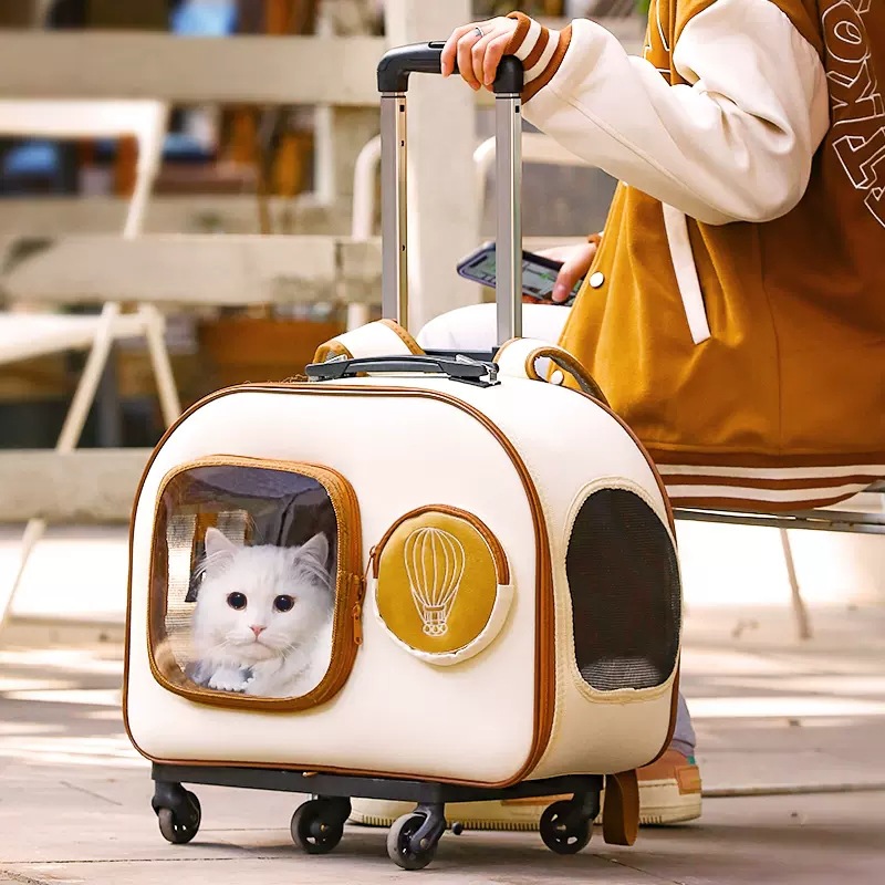 Gato bolsa portátil mascota trolley caso gato mochila perro cochecito de viaje espacio cápsula gato equipaje image 7