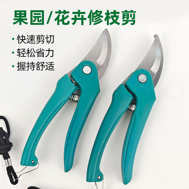 现货批发花卉园艺剪果枝剪花艺枝条剪果园树枝专用剪花枝剪