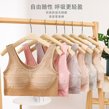 ���������¿���������Ĩ�ع��؟o�Ȧ���{���۔n���Ĵ�׃ȴ��ݼy