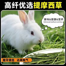 ��Ħ�����������Ӻ��m�i���}����؈ͨ�Õ�����ó���ֱ�l